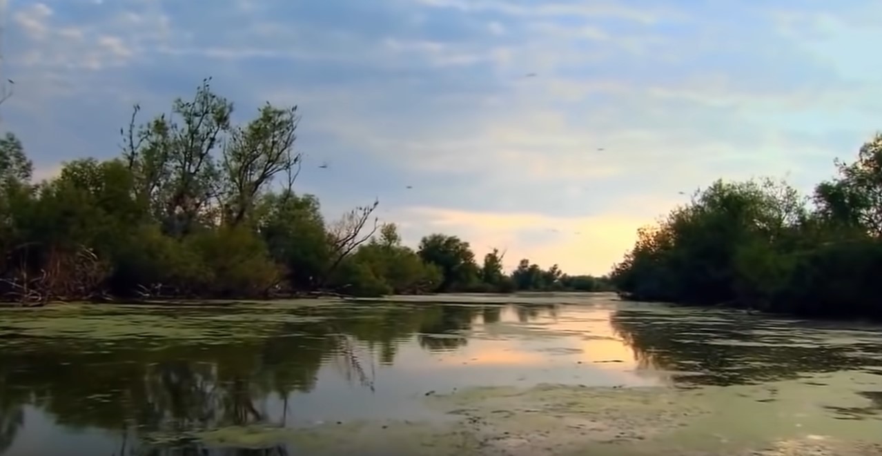 Dronele afectează viața locuitorilor din Delta Dunării: „Mesajele RO-Alert sunt groaznice”