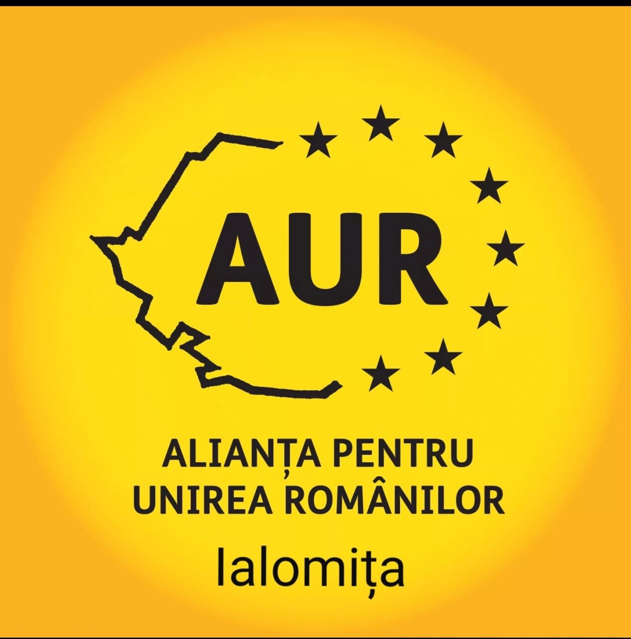 AUR caută candidați pentru postul de „primari”. Două localităţi au rămas fără edil