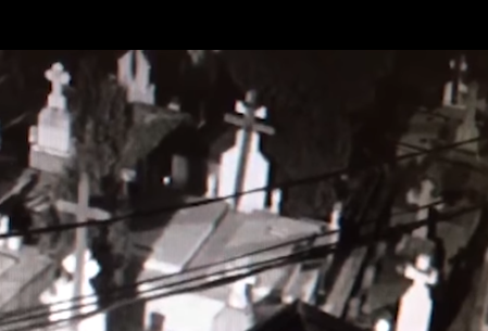 Două persoane au fost surprinse de camerele de supraveghere, în timp ce furau flori dintr-un cimitir din Răcari