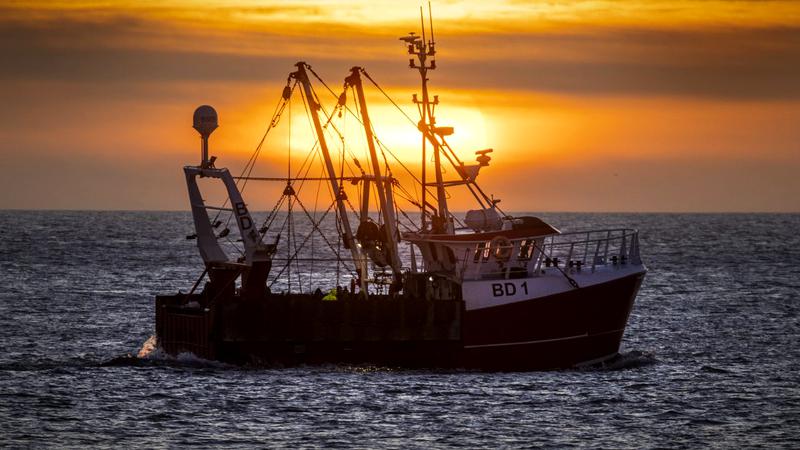 Pescadorul dispărut în zona Gura Portiței a fost găsit