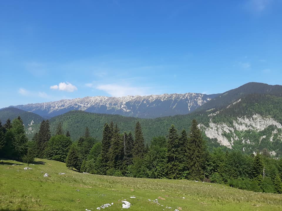 Cum va fi vremea în weekend la Sinaia, Bușteni și Predeal