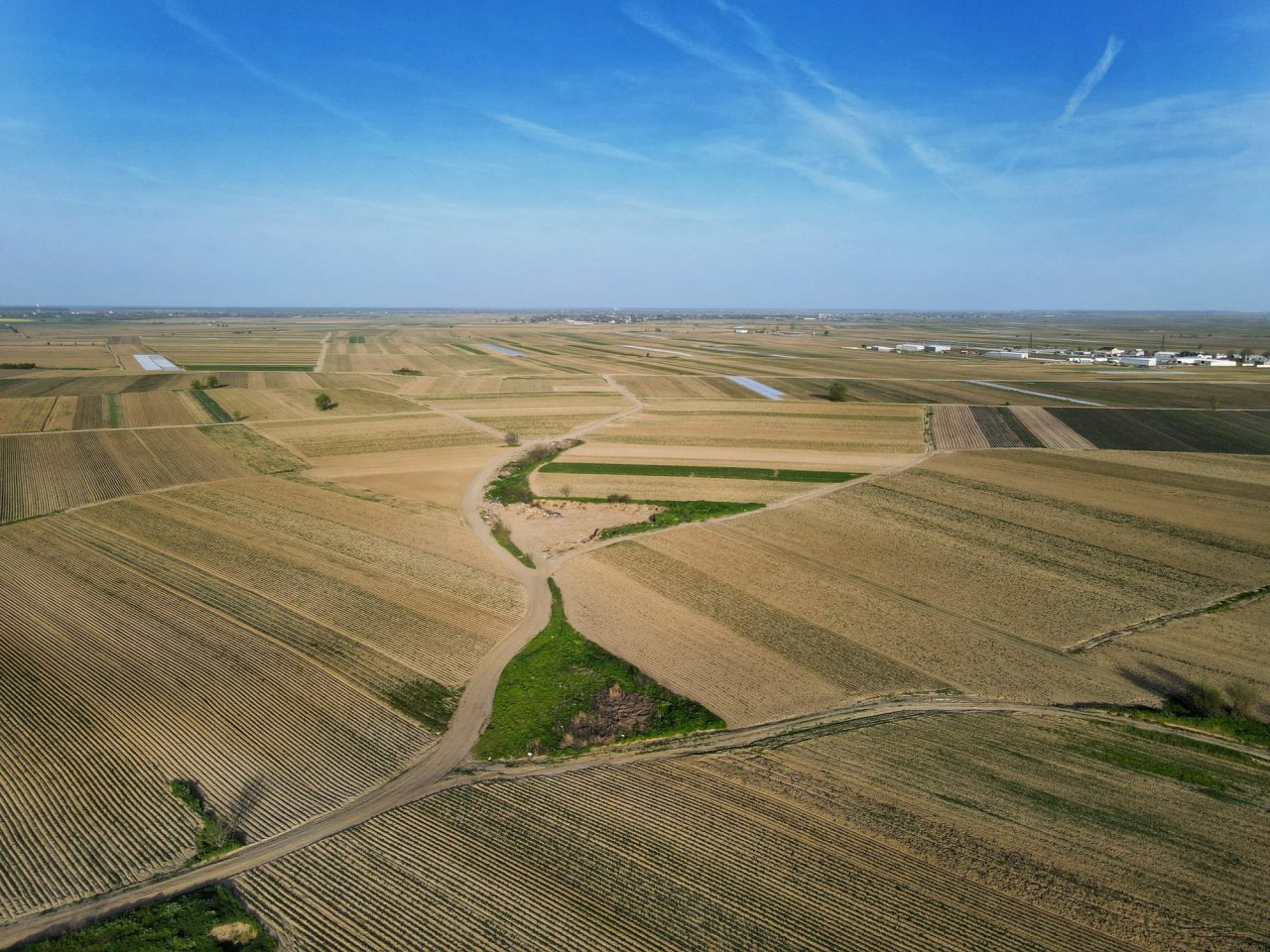 APIA primește cereri de plată pentru 2025 începând de luni, 3 martie/Ce documente trebuie să depună fermierii