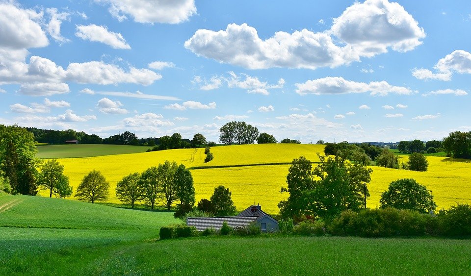 AGRICULTURĂ: Fermierii români învață ce înseamnă agricultură durabilă. Când încep cursurile GreenFields Academy