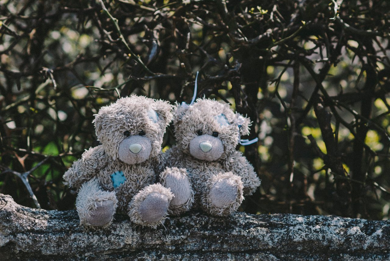O fetiță de 5 ani a fost agresată sexual de un pedofil, într-un parc din Tecuci. Mama ei se afla la câțiva pași. Poliția îl caută pe agresorul identificat
