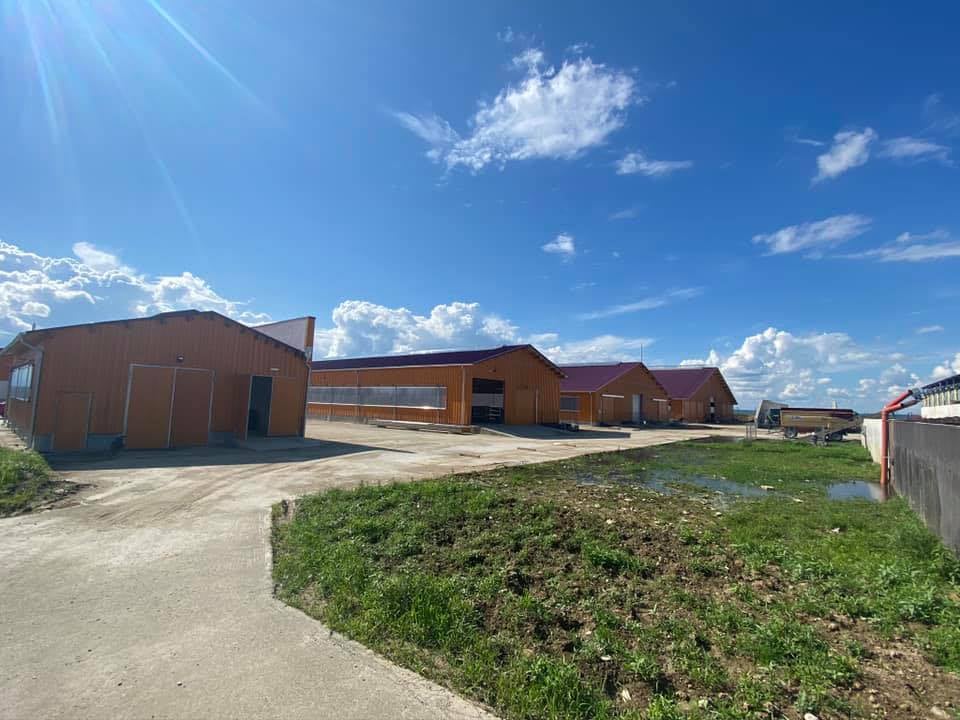 AFIR: Investiţii de un miliard de euro în exploataţii agricole cu bani din PNDR. Cât costă să construiești o fermă de bovine
