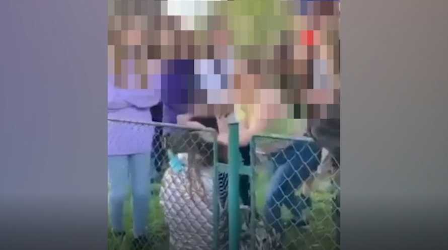 Minoră din Brașov, bătută și batjocorită de două fete în timp ce mai mulți adolescenți aplaudă. Polițiștii au deschis dosar penal – VIDEO