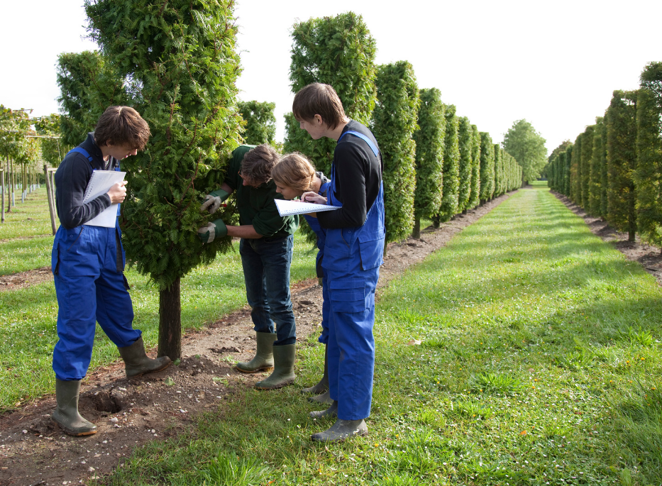 ÎNVĂȚĂMÂNT: Ministerul Agriculturii alocă, în acest an, 15 milioane lei pentru a finanța 56 licee agricole. În 20 de ani, numărul lor s-a redus la jumătate