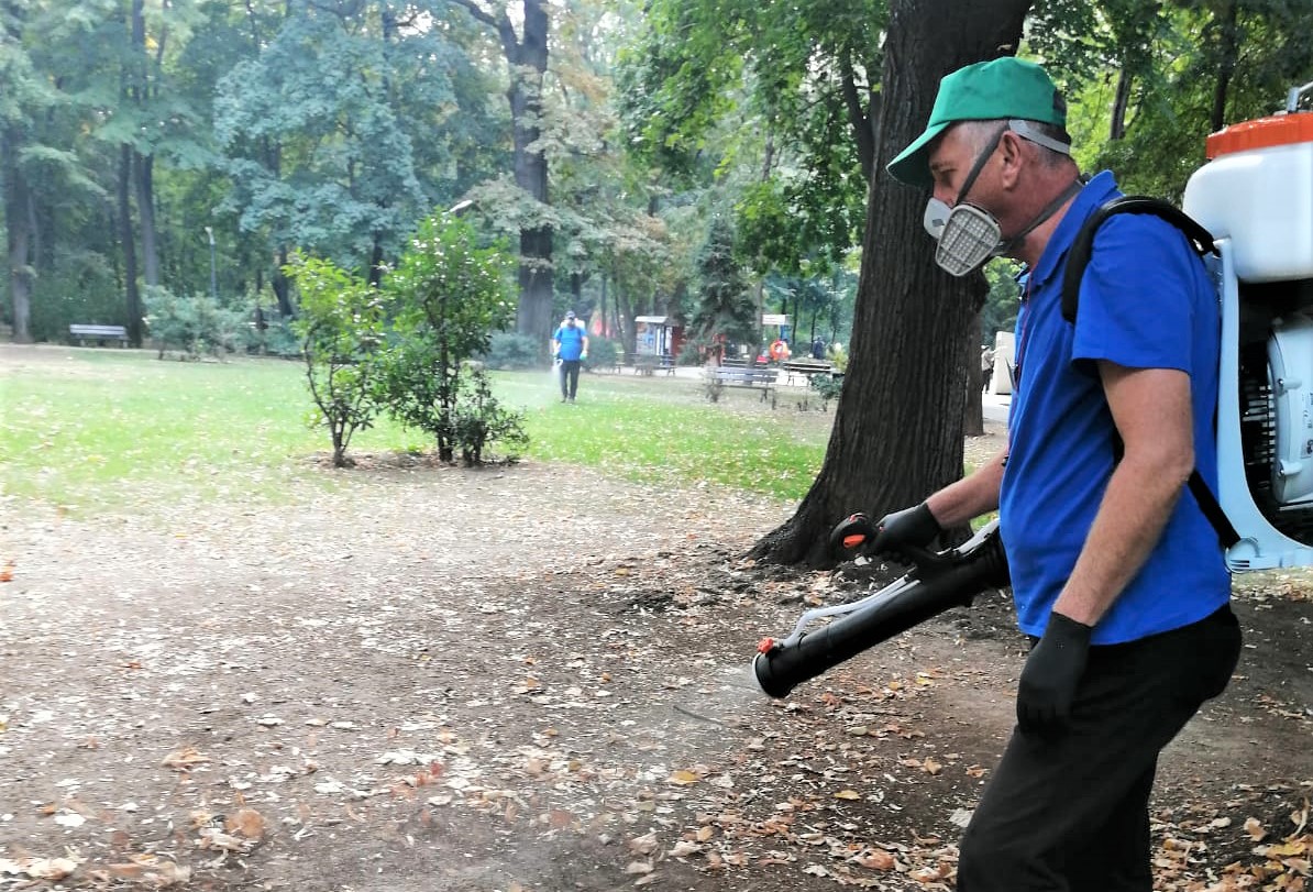 Bucureștiul va avea în sfârșit deratizare și dezinsecție. Proiectul a fost aprobat de Consiliul General