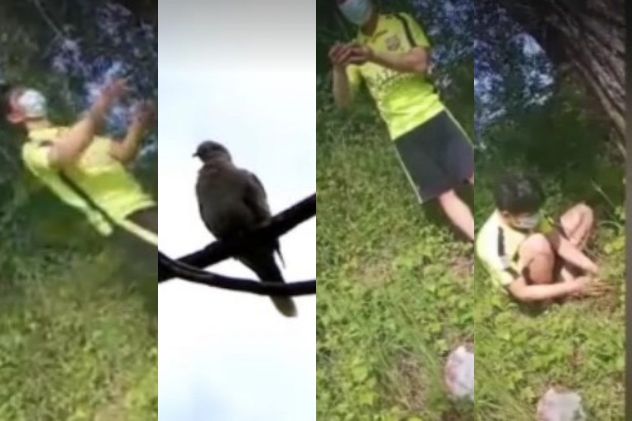 Trei vietnamezi au fost prinși în timp ce căutau pui de sturz ca să îi mănânce, într-o rezervație din Neamț