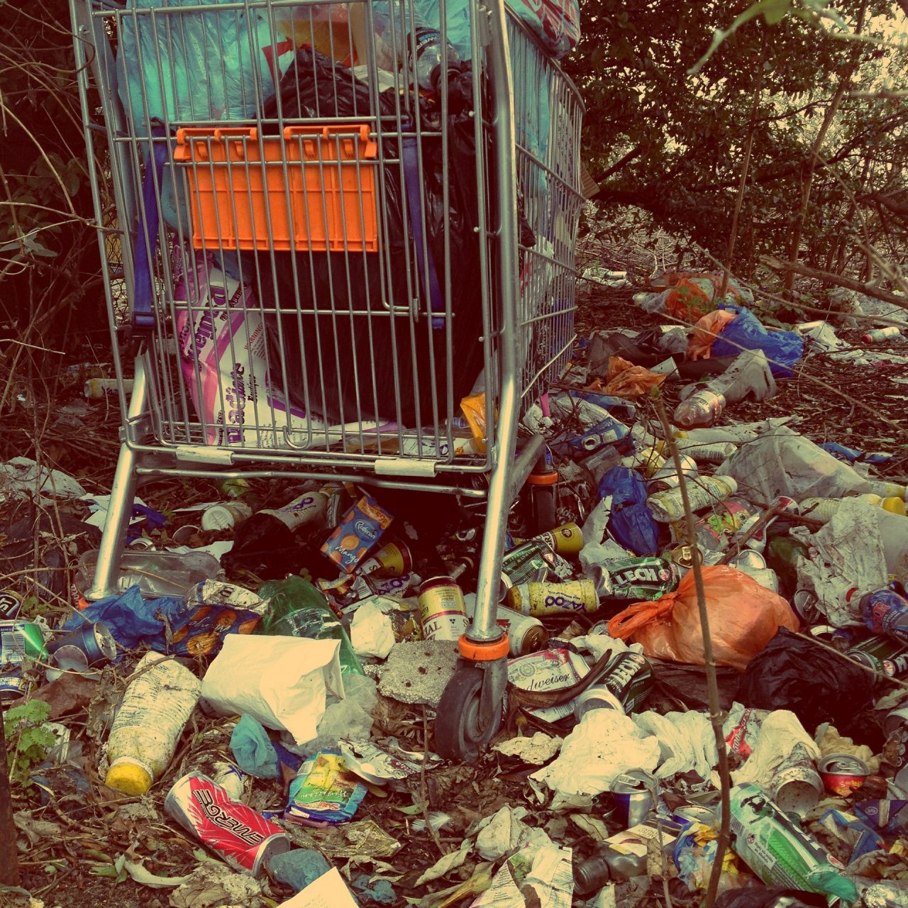 TrashOut, aplicația prin care românii pot semnala când cineva aruncă gunoi ilegal. Anunțul lui Tanczos Barna