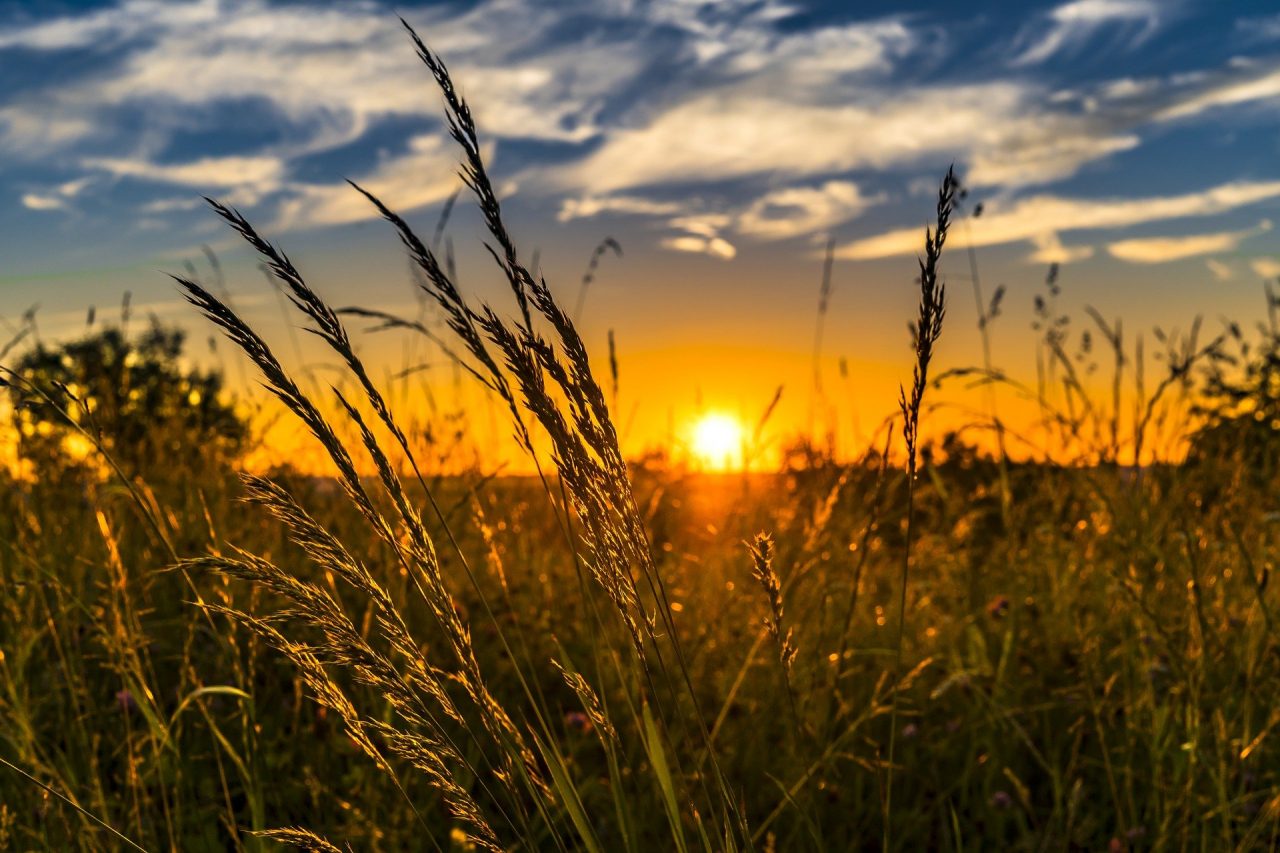 Prognoza meteo pentru următoarele două săptămâni. Cum va fi vremea la începutul lunii iunie