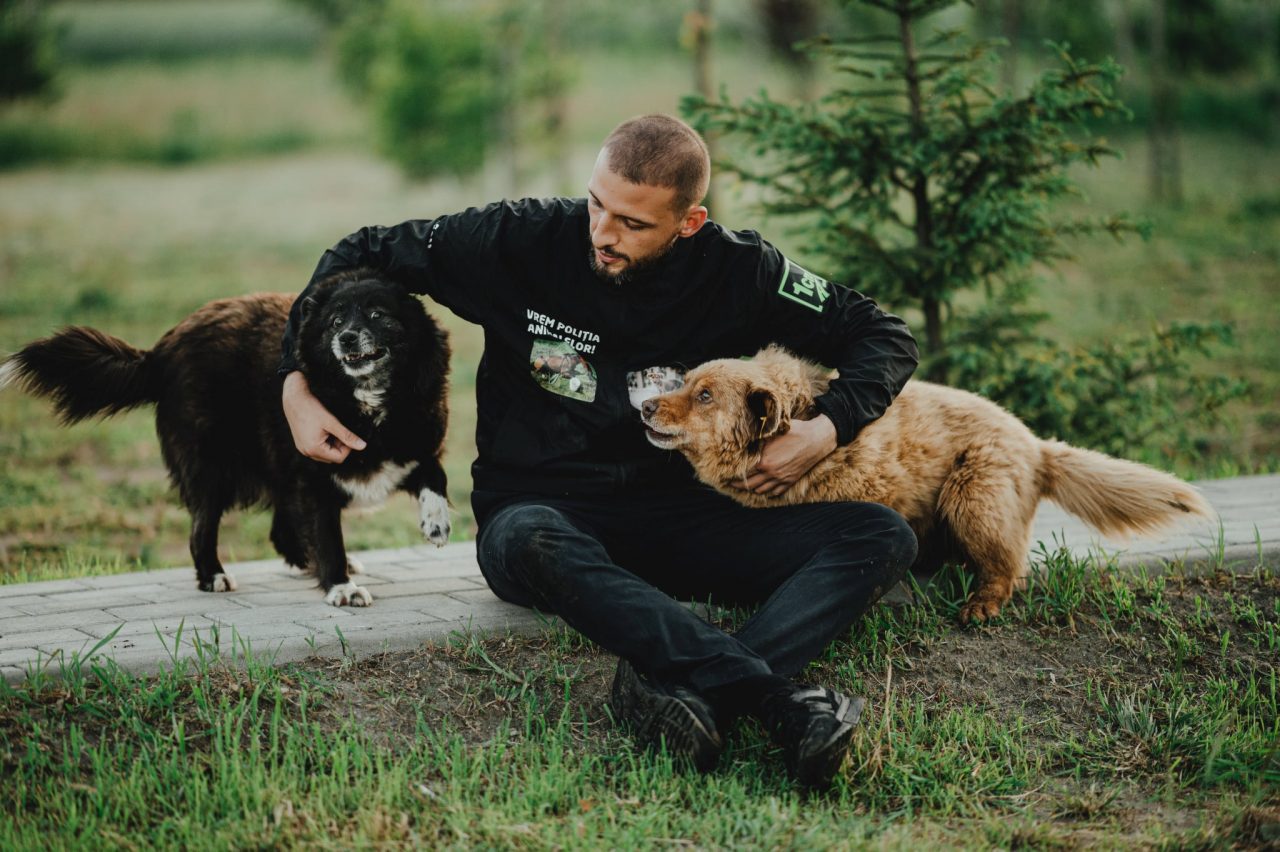 Ștefan Mandachi primește daune morale după ce a reclamat stautul privind problema animalelor schingiuite. Decizia instanței creează un precedent important în justiția română