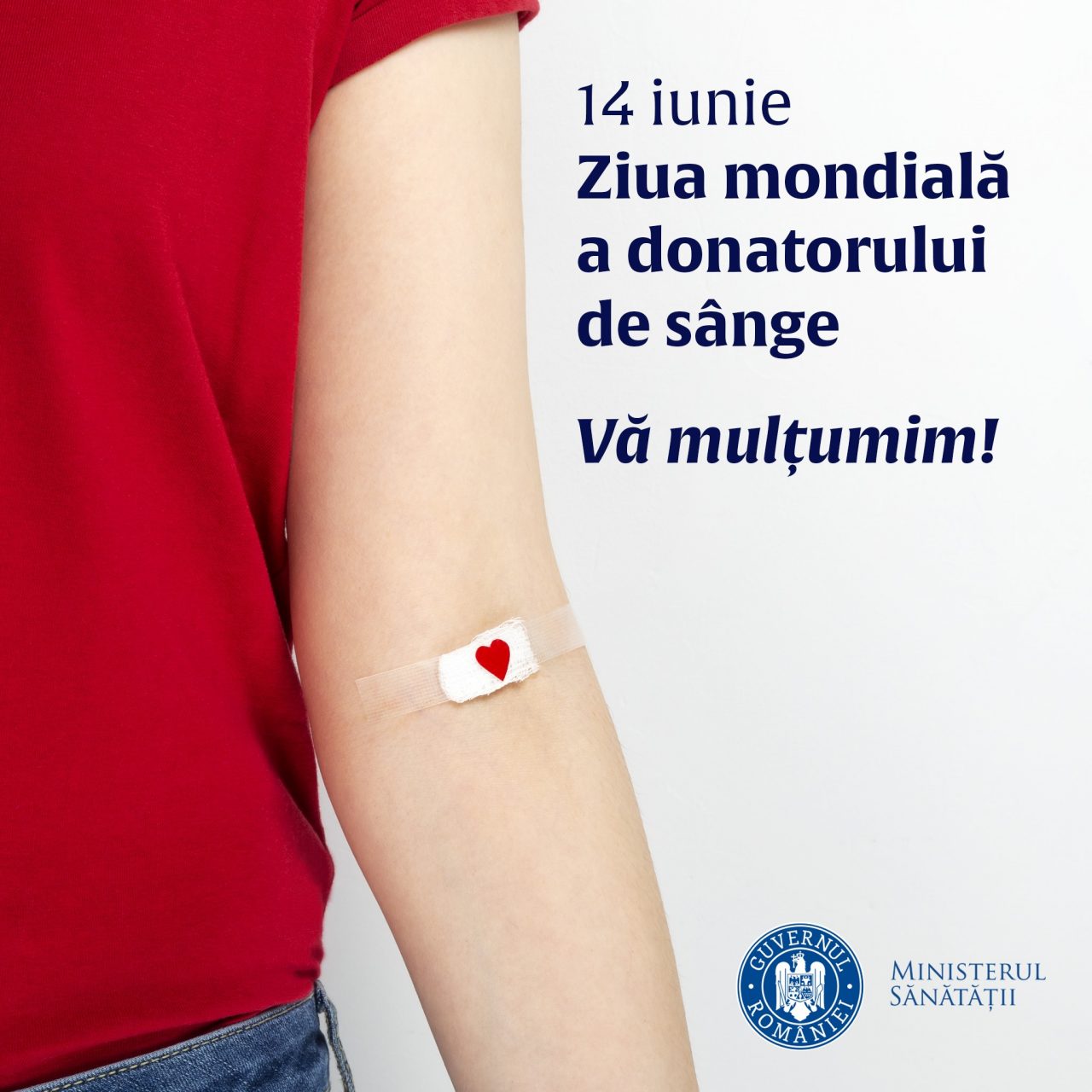 Ziua mondială a donatorului de sânge. Ioana Mihăilă: Cu o oră din timpul vostru și o singură donare de sânge puteți salva două vieți