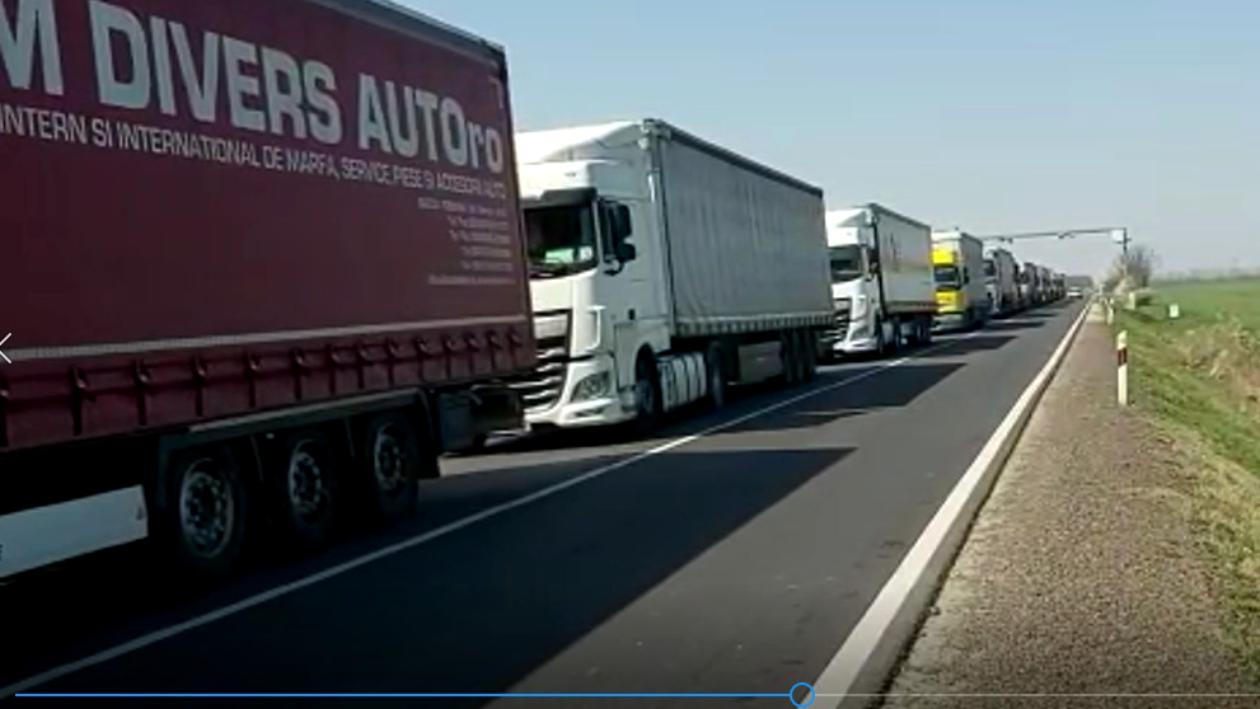 Zeci de migranţi, unii cu simptome de asfixie, descoperiți de polițiștii bulgari într-un camion abandonat
