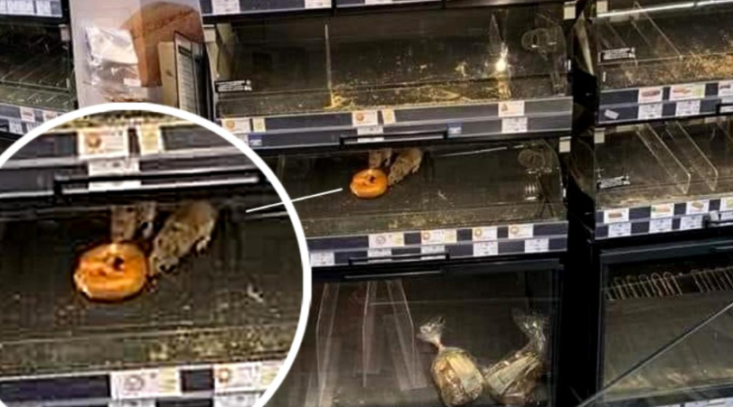 ANSVSA a amendat supermarketul Mega Image unde au fost surprinse imagini cu șobolani printre produse alimentare