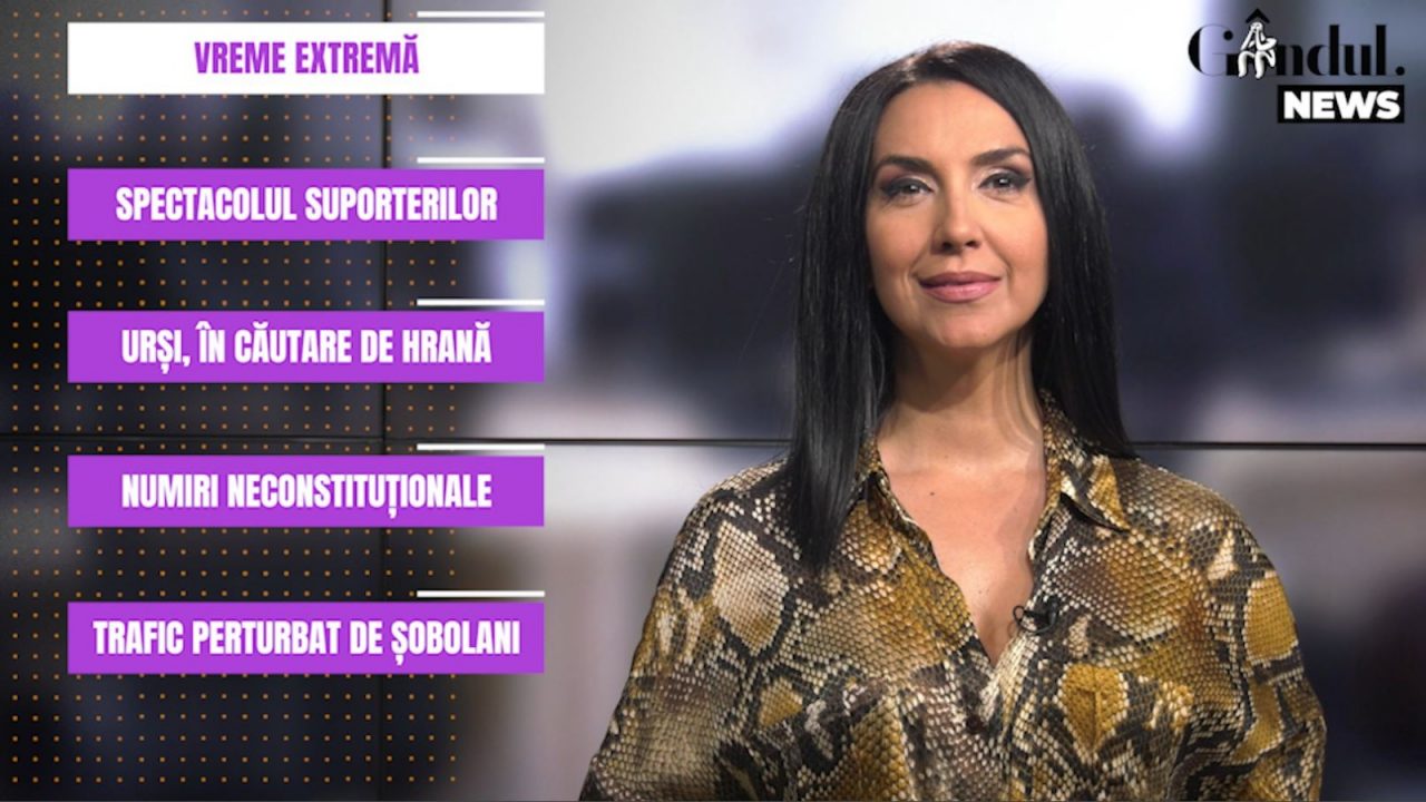 GÂNDUL NEWS. Traficul din Capitală, dat peste cap de șobolanii care au ros cablurile semafoarelor (VIDEO)