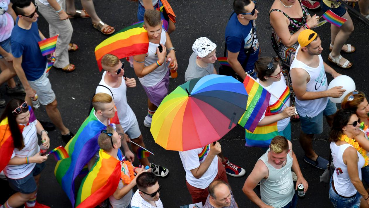 Ungaria adoptă o lege care interzice „promovarea” homosexualităţii în rândul minorilor. Filmul „Harry Potter”ar putea fi interzis copiilor