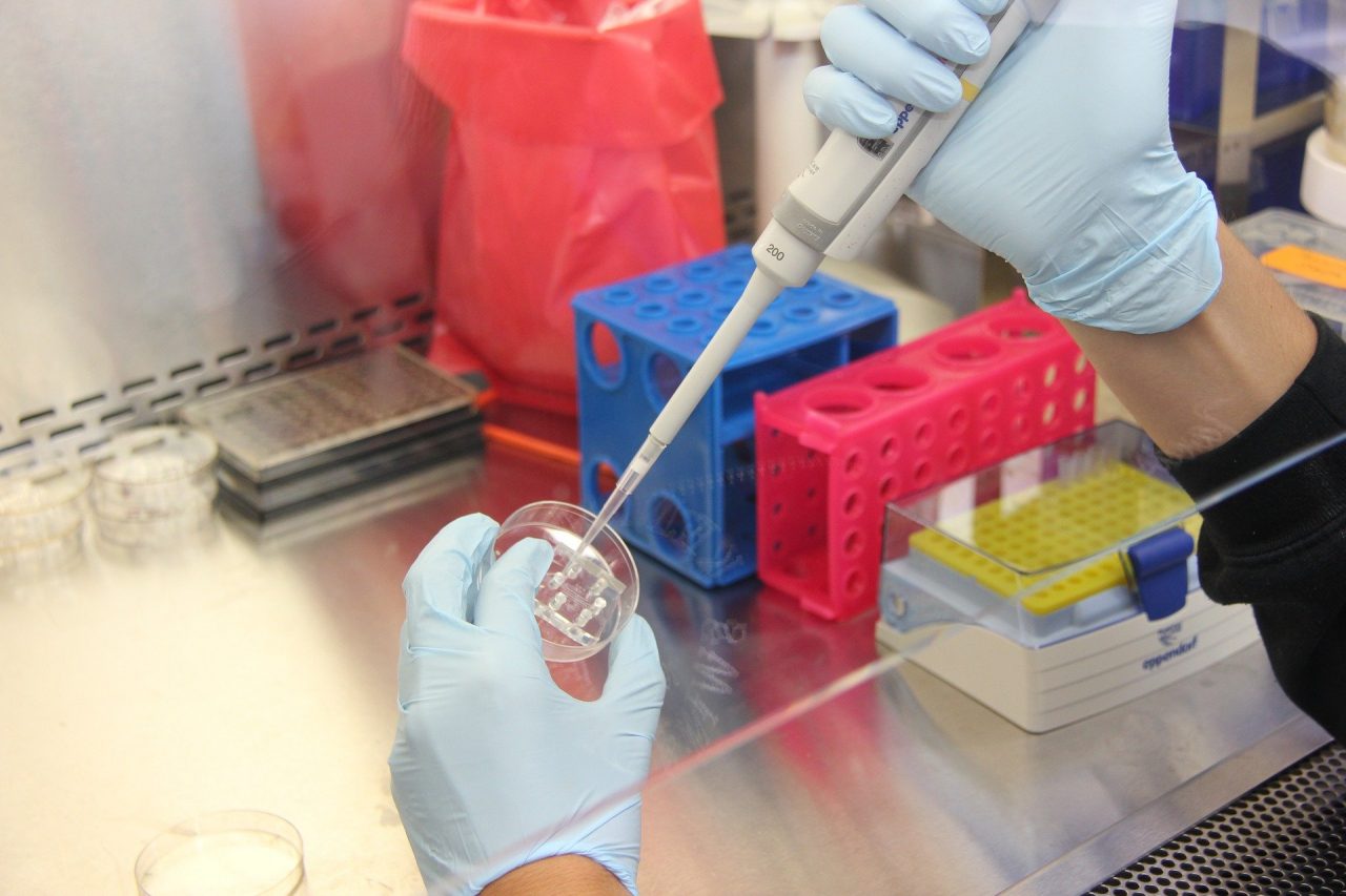 O echipă de cercetători din SUA a identificat un nou posibil tratament antiviral împotriva Covid