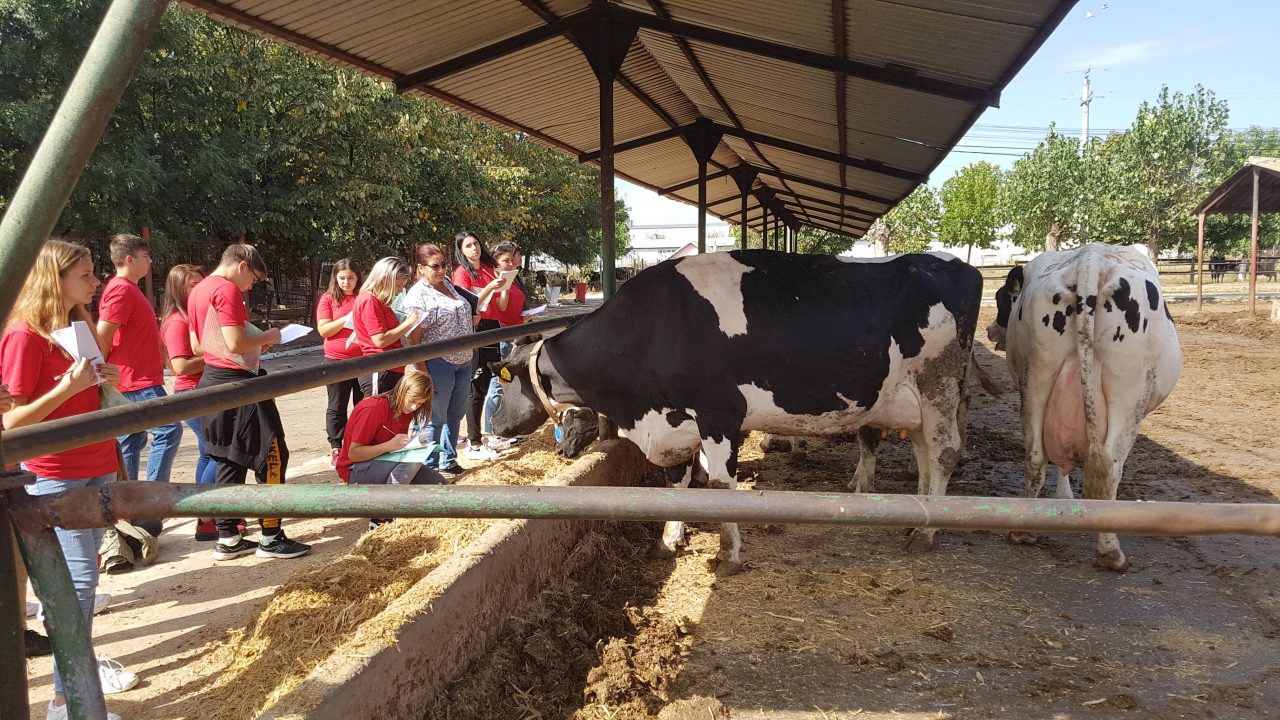 Studiu. O treime dintre absolvenții de licee agricole intenționează să-și continue studiile la facultate. Câți vor o afacere proprie
