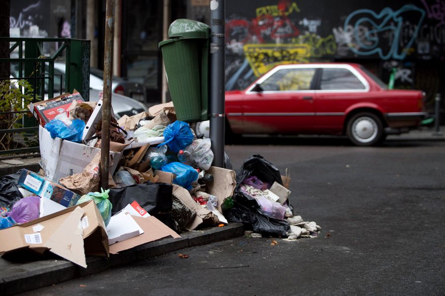 „Muștele aduc stafilococi pe mâncare de la gunoaie și produc infecții grave”. Străzile din sectorul 1 se pot transforma în bombe ecologice, avertizează medicii