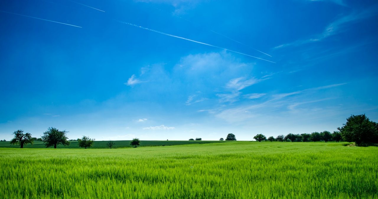 Clubul Fermierilor Români: Reforma PAC şi aplicarea noului Pact Ecologic European sunt noile provocări pentru agricultură