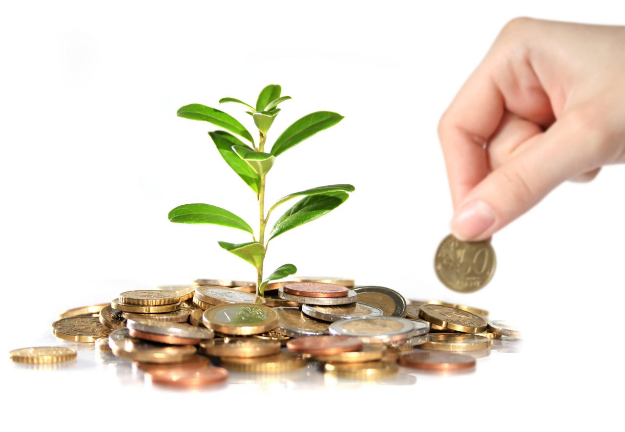 Agenția de Plăți și Intervenție pentru Agricultură (APIA) dă bani producătorilor agricoli din sectorul vegetal