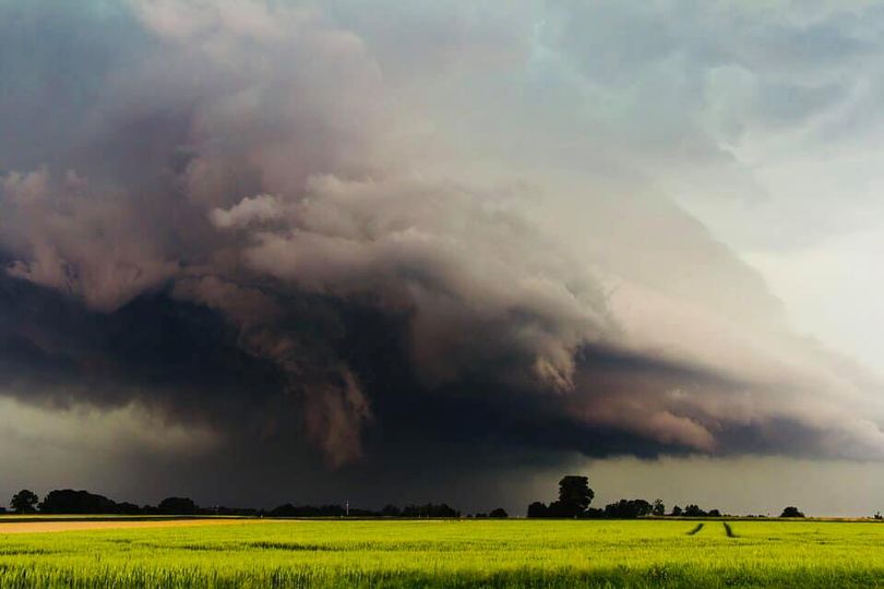 Inundații. MADR: Fenomenele meteo extreme au produs pagube pe o suprafaţa de 4.665 hectare de culturi agricole. Unde sunt cele mai mari pierderi