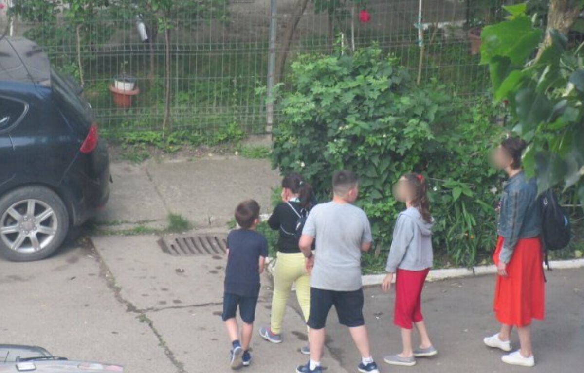VIDEO| Imagini șocante în Iași: O fetiță a fost obligată de prieteni să privească cum aceștia au ucis un pui de pasăre, apoi au jucat fotbal cu el