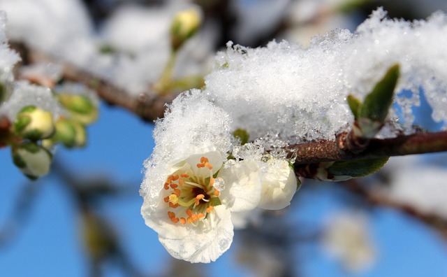 Primăvara 2020, cea mai rece din ultimii 30 ani. Începutul de vară, recorduri negative ale temperaturii