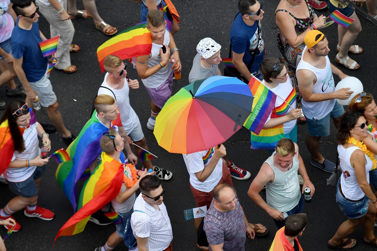 Ungaria: Partidul premierului Viktor Orban vrea interzicerea promovării homosexualității în rândul copiilor