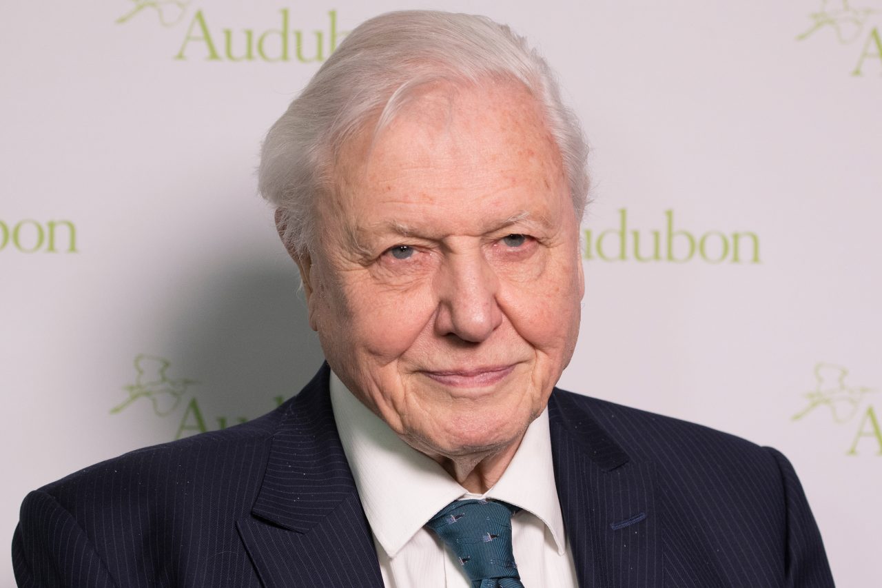 Naturalistul Sir David Attenborough îi îndeamnă pe liderii G7 să dea dovadă de „voință globală” pentru a combate schimbările climatice