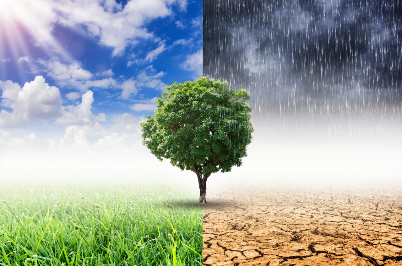 Predicțiile climatologilor pentru România următoarelor decenii: Zăpada va dispărea, iar temperaturile vor crește cu 8 grade Celsius