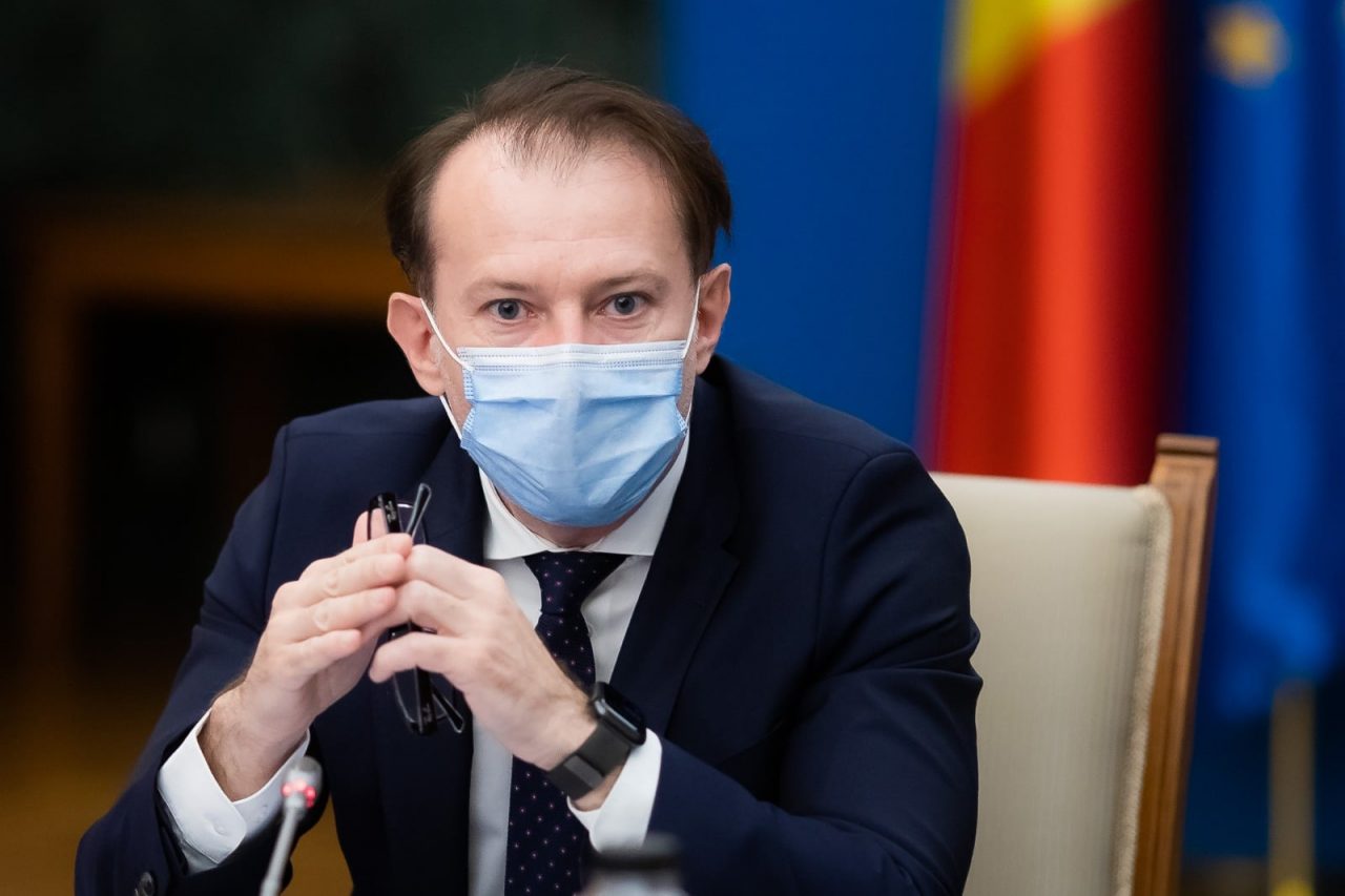 Florin Cîțu: OUG privind normele de intervenție imediată pentru specia de urs brun, aprobată | Cine decide împușcarea urșilor – VIDEO