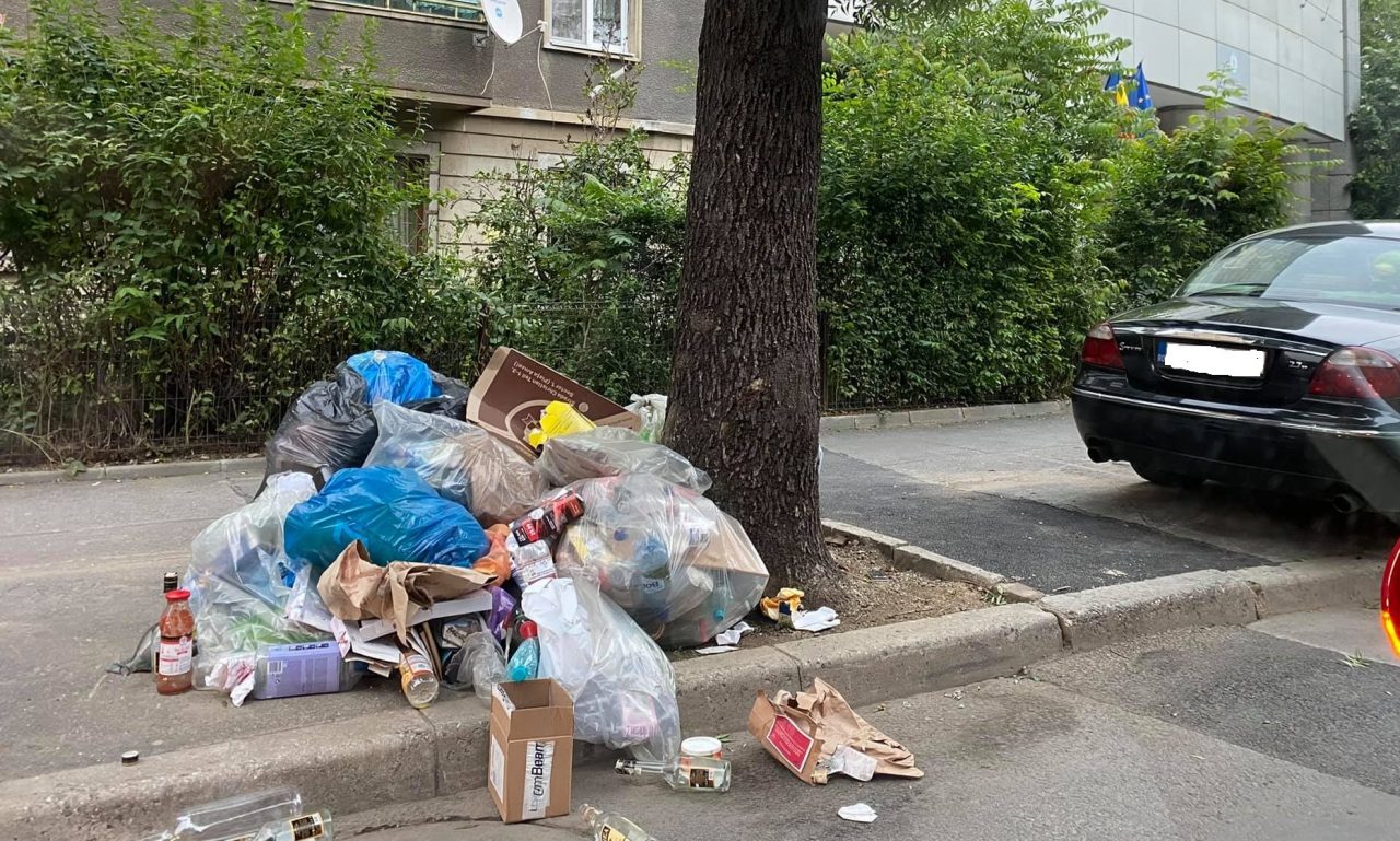 PSD atacă în instanță starea de alertă din sectorul 1: „Lupta doamnei Armand cu operatorul de salubrizare afectează interesele cetățenilor”