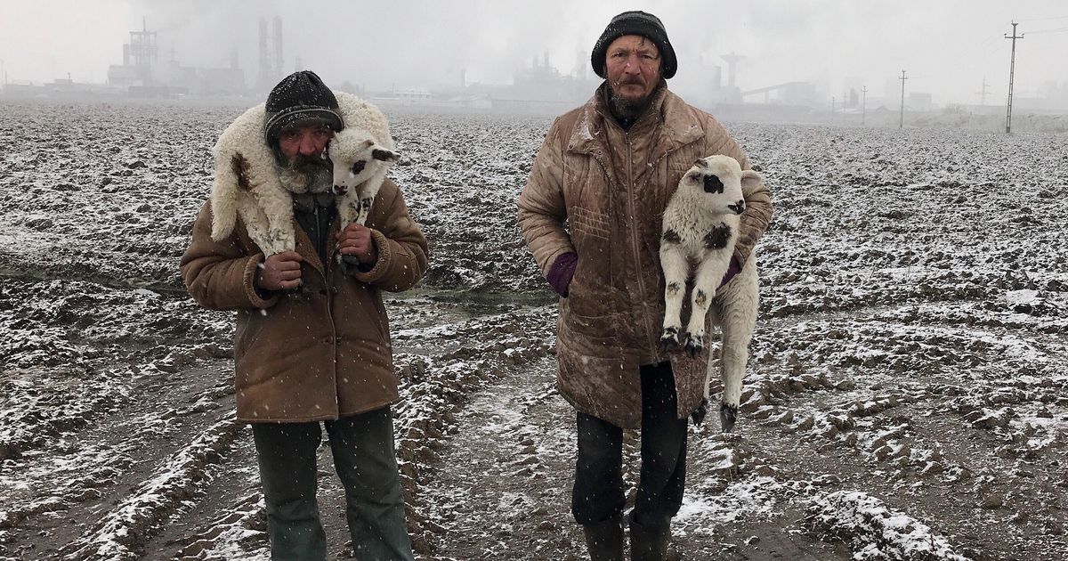 Un fotograf de origine română, desemnat câștigătorul iPhone Photography Awards