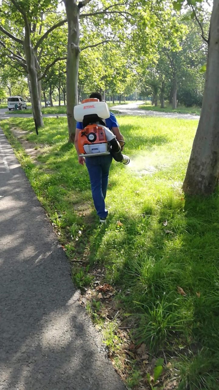 Nicușor Dan anunță demararea celui de-al patrulea tratament anti-ţânţari din acest sezon