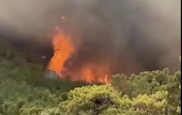 Incendiile forestiere din sudul Turciei au ajuns în stațiunile de pe litoral: Mai multe hoteluri din Marmaris au fost evacuate