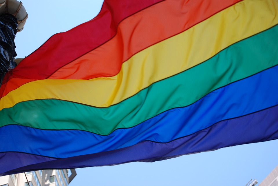 Proceduri de infringement împotriva Ungariei şi Poloniei, din partea CE. Cele două state sunt acuzate de încălcarea drepturilor LGBT