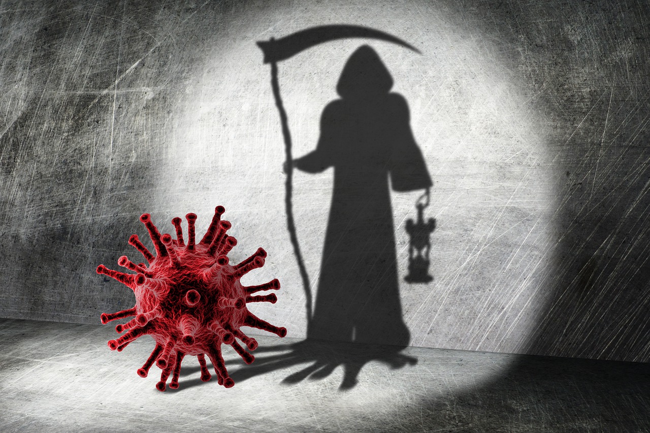 OMS: Pandemia de COVID-19 a provocat peste 4 milioane de decese  