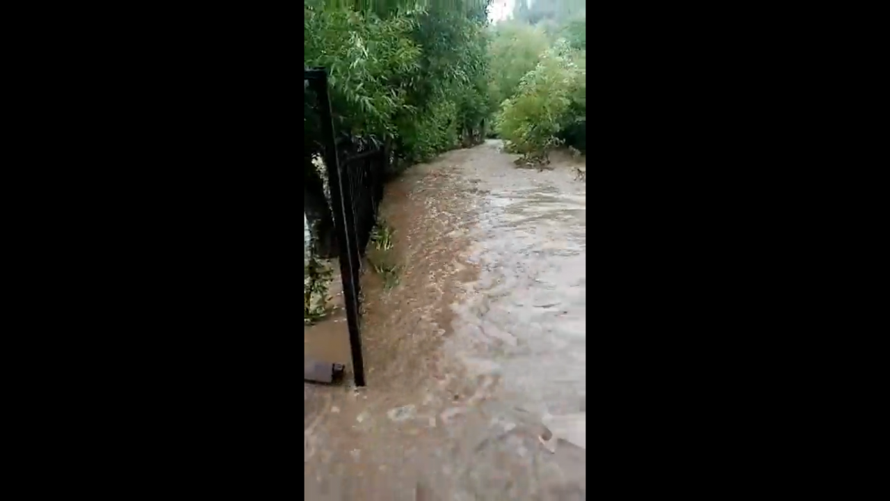 Primarul din Moeciu, înregistrat în timp ce jignea o localnică: ”Ești o proastă și o tâmpită!” (VIDEO)