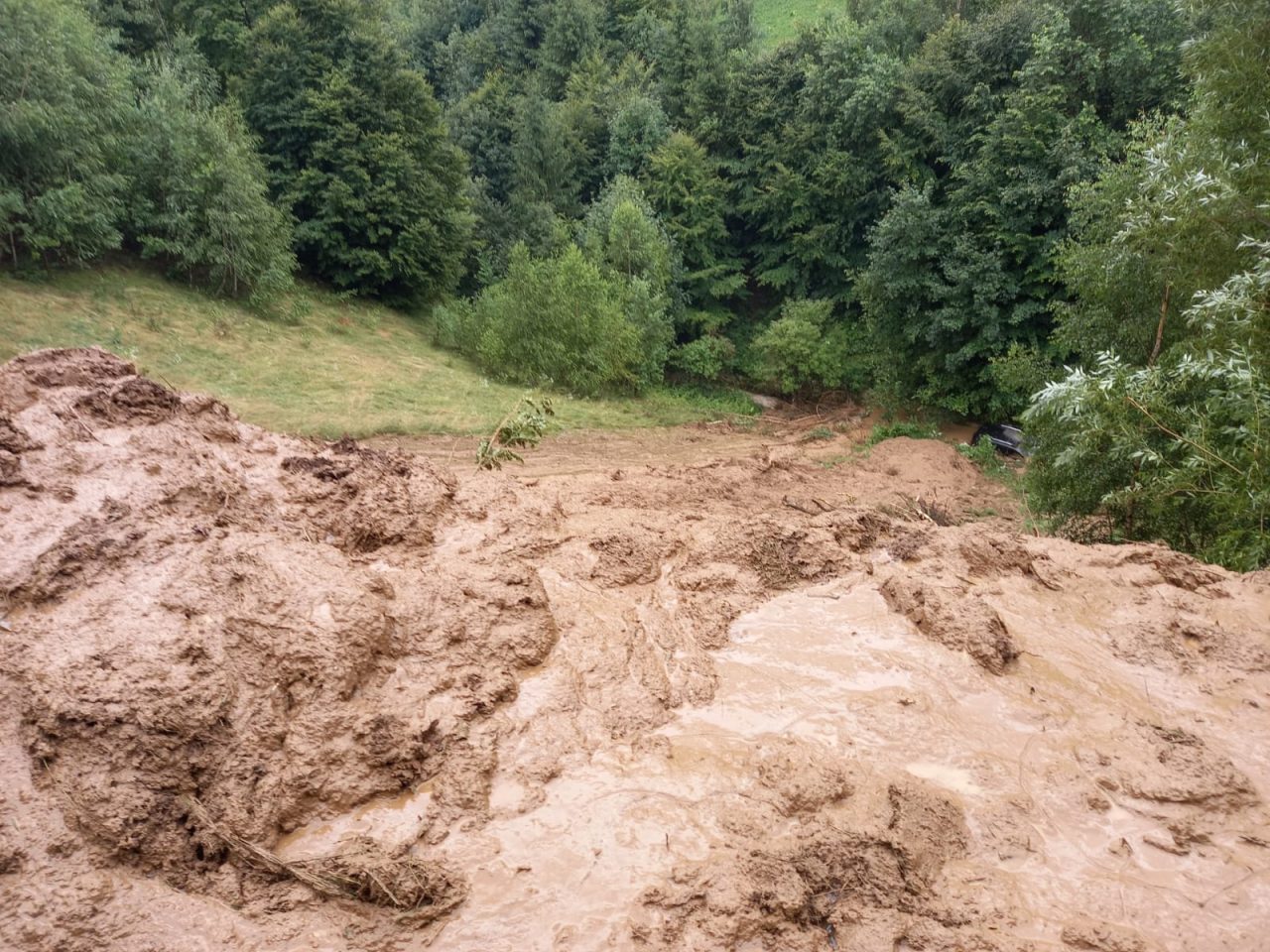 Alunecare de teren în Braşov. Zeci de animale au murit