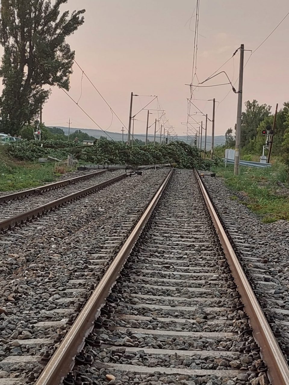 Brașov: Circulația feroviară, oprită din cauza unor copaci căzuți pe calea ferată