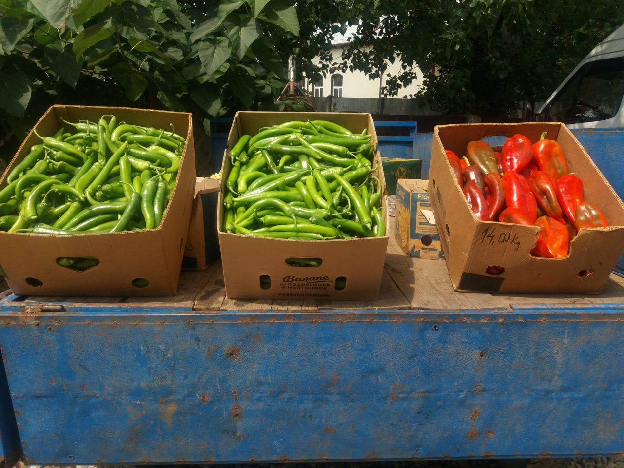 Oltenii îi ajută pe sinistraţii din Alba cu legume şi cereale