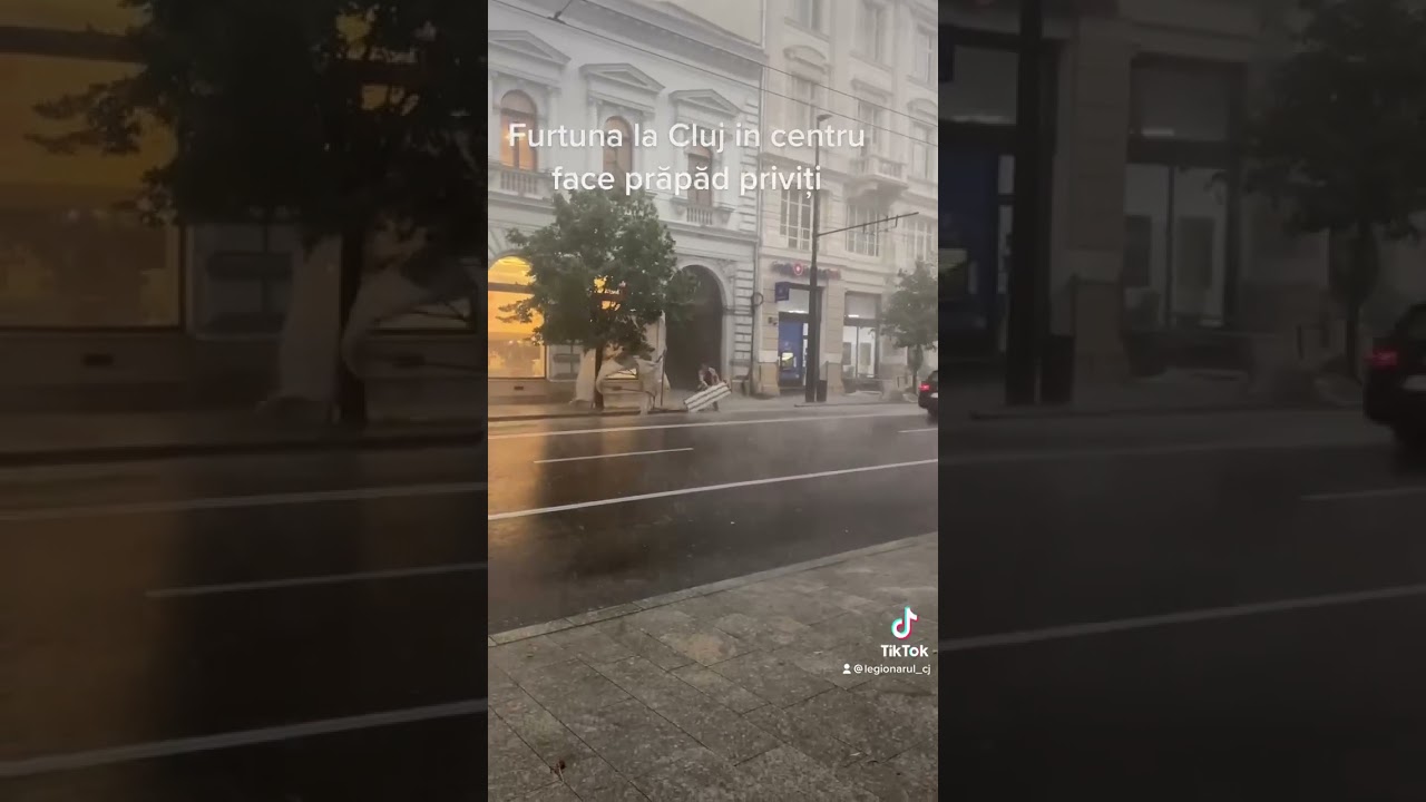 Furtuna a făcut ravagii în Cluj-Napoca. Mai multe sechele aflate în fața unor clădiri au fost doborâte