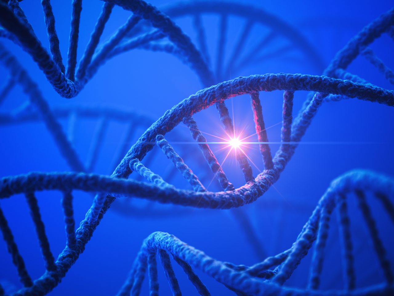 O boală genetică extrem de rară se răspândește în județul Suceava. Ce particularitate au pacienții