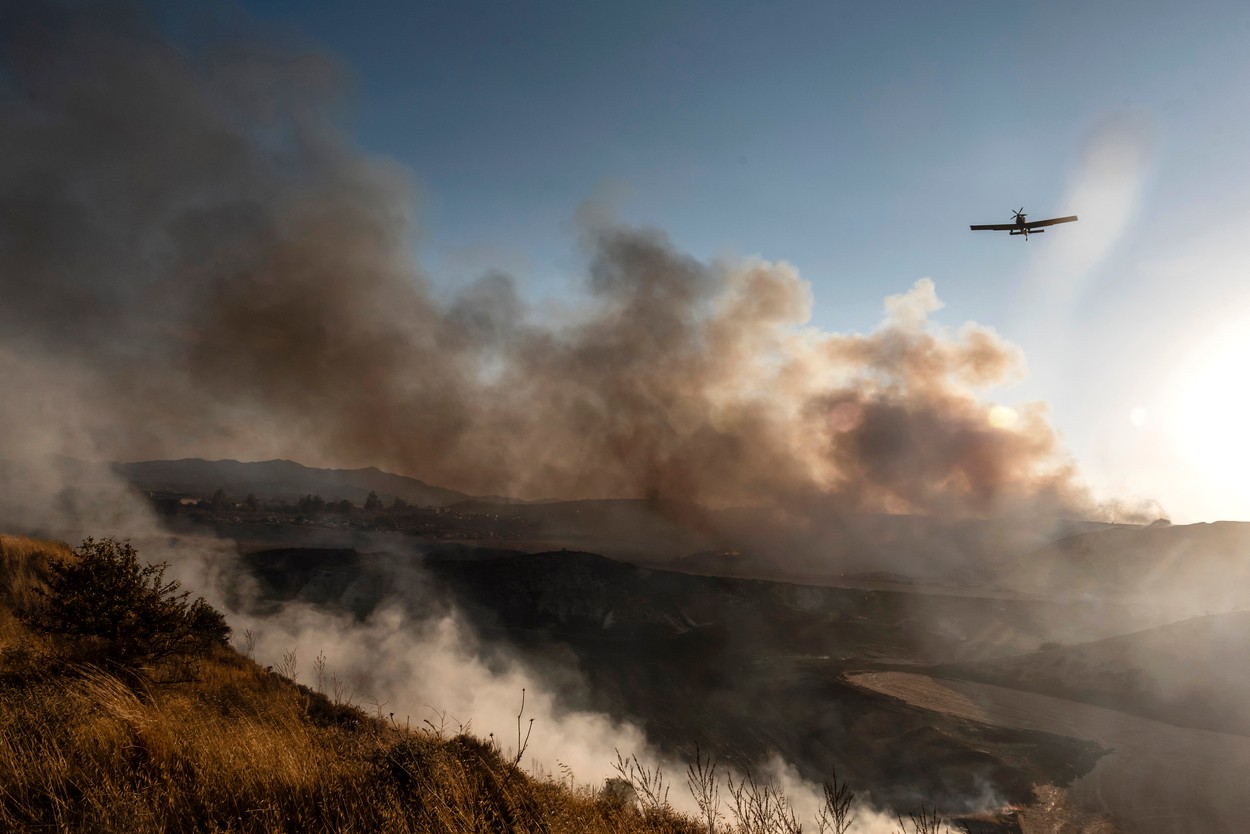 Incendiu de proporții în Tulcea: 15 hectare de vegetație au ars la marginea localităţii Jurilovca
