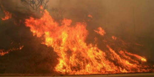 Sute de persoane au fost evacuate din cauza incendiilor forestiere în nord-estul Spaniei