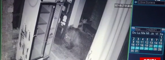 O ursoaică și puii ei au intrat într-un restaurant, la Băile Tușnad: „Așa nu se mai poate”