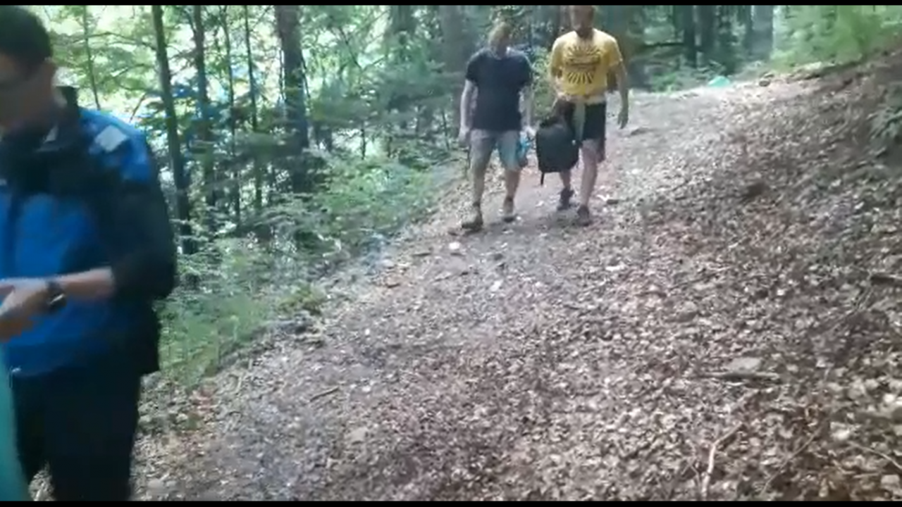 Prahova: Un turist și-a aruncat rucsacul pentru a scapa de atacul unui urs