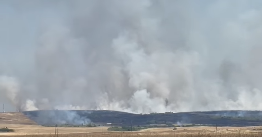 VIDEO | Octavian Berceanu despre incendiile de miriști: Focul se întinde cu viteză foarte mare și cenușă rezultată se împrăştie pe distanţe mari, poluând grav aerul